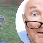 Det märkliga fyndet nära trädet gjorde grannen förbryllad: vilken hemlighet