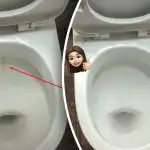 En produkt kan göra toalettstolen vitare och få den att glänsa: hur du tar itu med plack och smuts på 15 minuter En produkt kan göra toalettstolen vitare och få den att