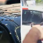 Fåglar skiter inte på bilar längre: här är vad du