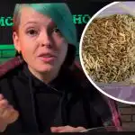 Hur man väljer ciderväxter och överraskar dina grannar med en