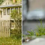 Hur man vattnar ogräs längs staketet: de försvinner nästa dag