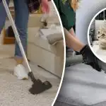 Inte ett enda spår kommer att lämnas kvar: 7 steg